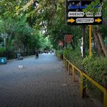 دکتر روانشناس مرکز روانپزشکی نیک مایند