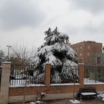 پارک دلگشا