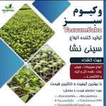 فنرسازی احمدی