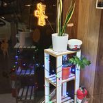 پیرایش افرا