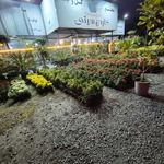 گل و گیاه گاردن سیتی
