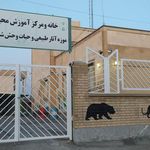کانون سمیه