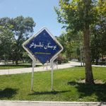 پارک نیلوفر