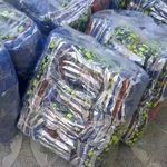 تولیدی مایو شنادریا