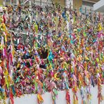 رستوران چلوشیش