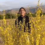 جرثقیل شکوفا