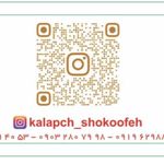 طباخی  شکوفه