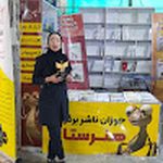 آموزشگاه اندیشمندان