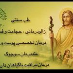 شفای هومر گیاهان دارویی عطاری حجامت طب