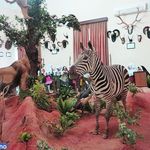 موزه تنوع زیستی