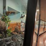 موزه تنوع زیستی