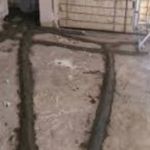 رضا کمالی پور