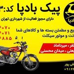 پیک بادپا