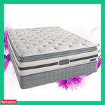 مستر اسموتی