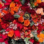 گل فروشی کشت و کار