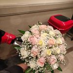 گل فروشی کشت و کار