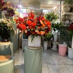 گل فروشی کشت و کار