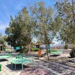 بام میناب
