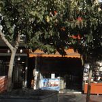 املاک سحر آشیانه
