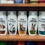 پت شاپ کلینیک دامپزشکی سپنتا