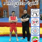 آکادمی استعدادهای برتر ووشو