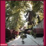 رستوران مشیر