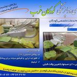 مرکزتخصصی دندانپزشکی کودکان غرب