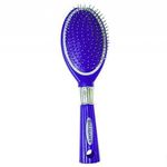 شرکت تولیدی برس بهداشتی