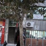 دکترمنیره اخلاق نجات