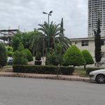 فضای سبز