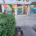 مرغ و ماهی ممتاز