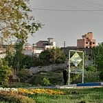 فضای سبز