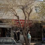 امینی جین استور