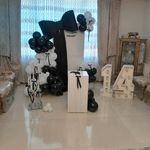 بادکنک آرایی میوه و گل آرایی بالون سحر