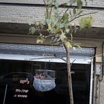 پیرایش رامین