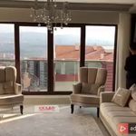 خرید و فروش پرده و کاغذدیواری در رودهن