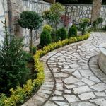 خدمات باغبانی هرس کاری صاحبدل