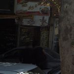 صبحانه ونهار دورهمی
