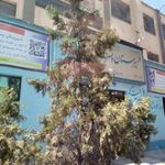 دبیرستان پسرانه غیر دولتی سما 5