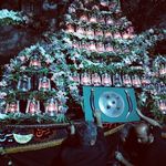 گلفروشی سی تو (ارسال رایگان)