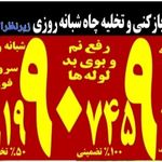 محمدعلی رحیمی نیک