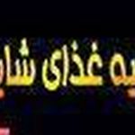 تهیه غذای شایان