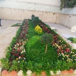 خدمات باغبانی هرسکاری گلکاری متخصص خاک