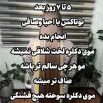 مرکز تخصصی کراتینه و احیا مو سوگل خادم