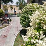 بوستان تمدن
