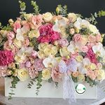گلفروشی گلسار