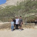 مجتمع تجاری اداری معصومی