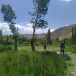 غار بورنیک