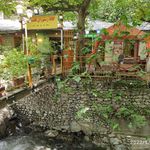کافه رستوران قلمستان