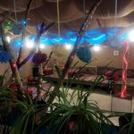 کافه رستوران کلبه